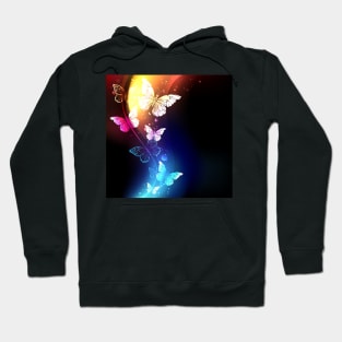 Fabulous Night Butterflies Hoodie